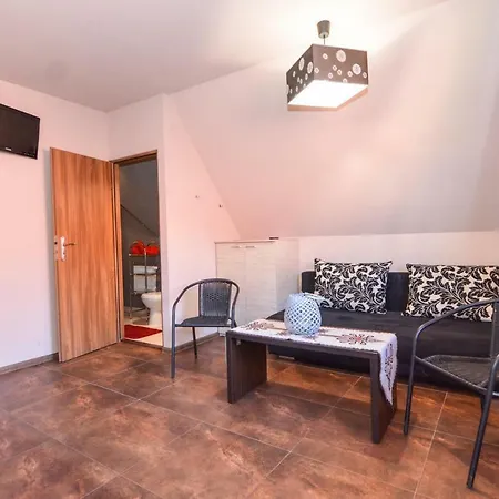 Homestay Goscinne Estilo Witow (Tatra)